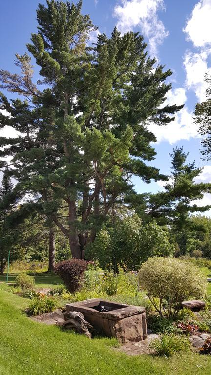 Pinehurst Inn Bed & Breakfast ベイフィールド エクステリア 写真